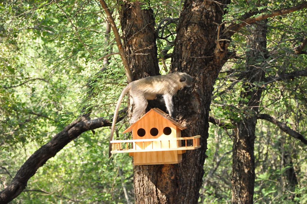 Treetops Marloth Park Eksteriør bilde