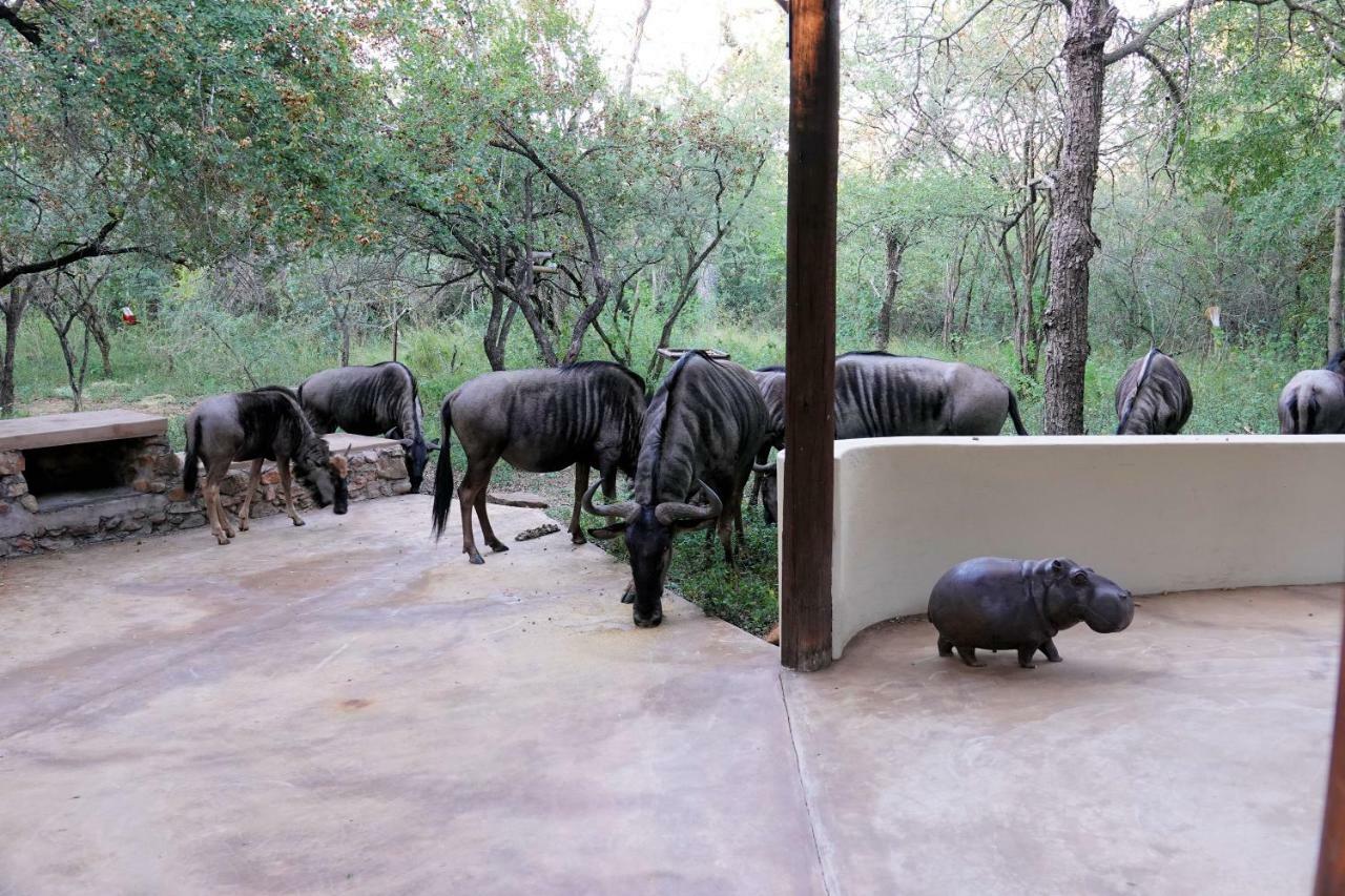 Treetops Marloth Park Eksteriør bilde
